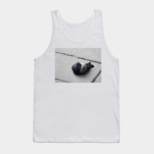 Majestic pigeon resting Tank Top